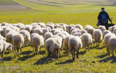 La ciencia ciudadana para encarar un cambio global